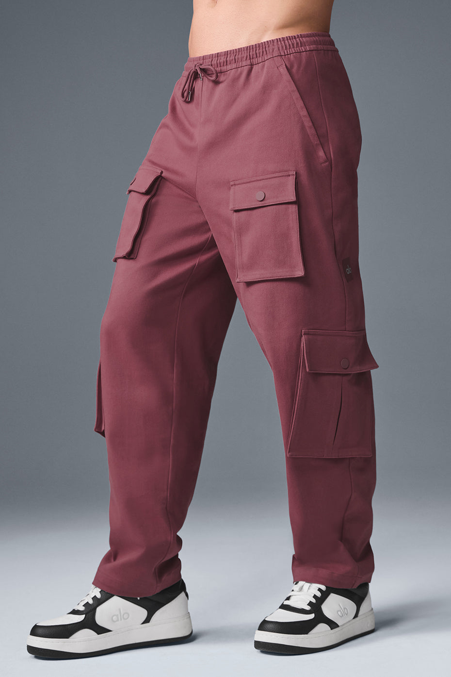 Northstar Cargo Pant - Burgundy Truffle--2