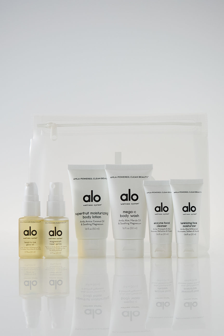 Wellness System Discovery Set--0