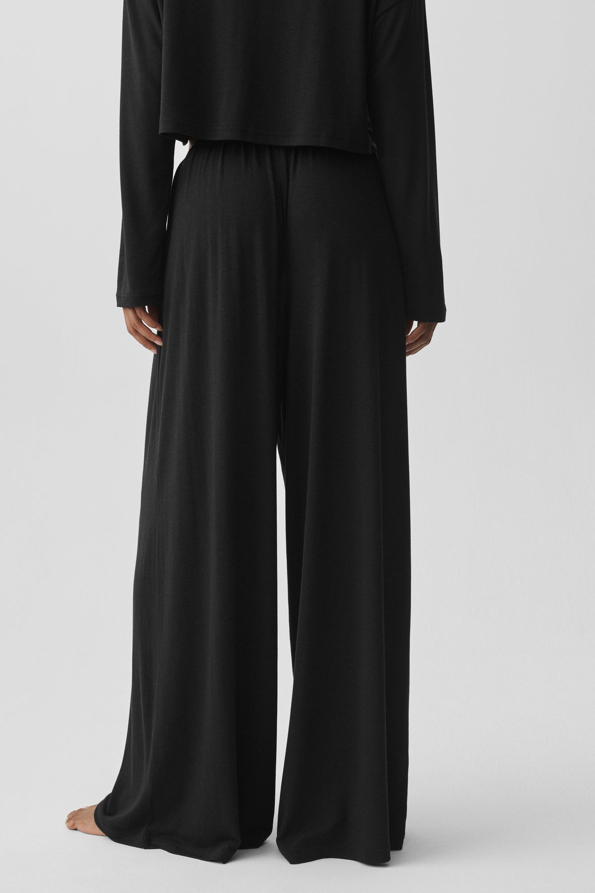 Semi Sheer High-Waist Oasis Wide Leg Pant (Regular) - Black--3