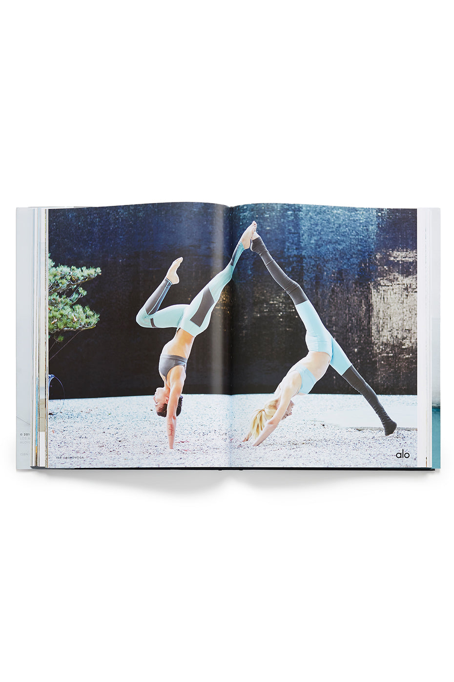 Mindful Movement, a book by ALO--4